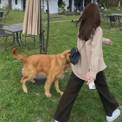 看见你便想念你